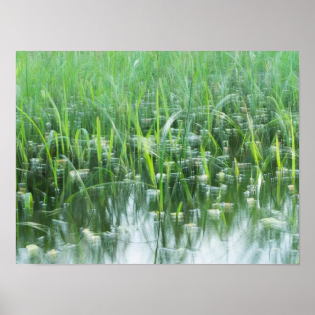 Dancing Grasses Poster (Framsidan)