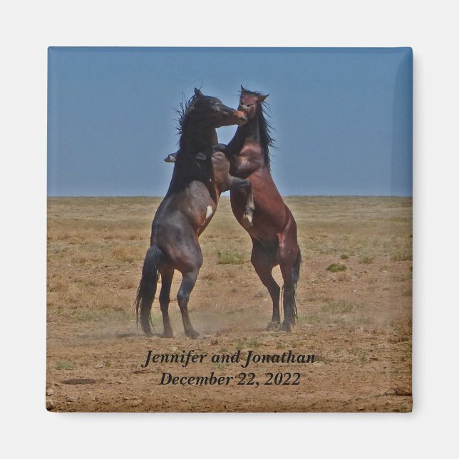 Dancing Horses-festens fördel Magnet (Framsidan)