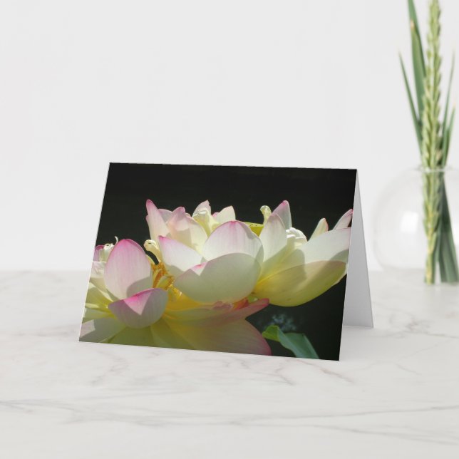 Dancing Lotus Card Kort (Framsida)