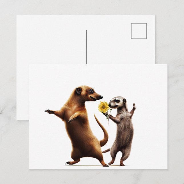 Dancing Meerkats Vykort (Fram/baksida)