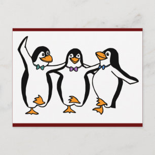 Dancing Penguins Vykort