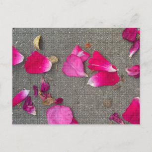 Dancing Petals IV Vykort