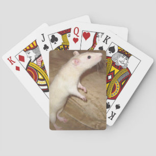 DANCING RÅTTA PLAYING CARDS SPELKORT