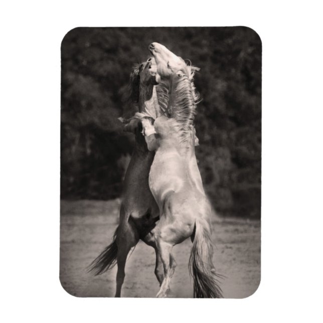Dancing Stallions Magnet (Vertikal)