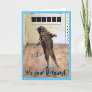 Dancing Tabby katt Birthday Kort
