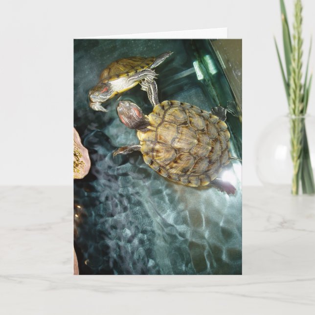 "Dancing Turtles" tackkort Kort (Framsida)