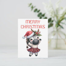 Dancing Zebra Foal - julkort