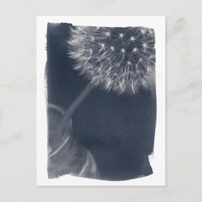 Dandalion Coffee Cyanotype Vykort (Framsida)