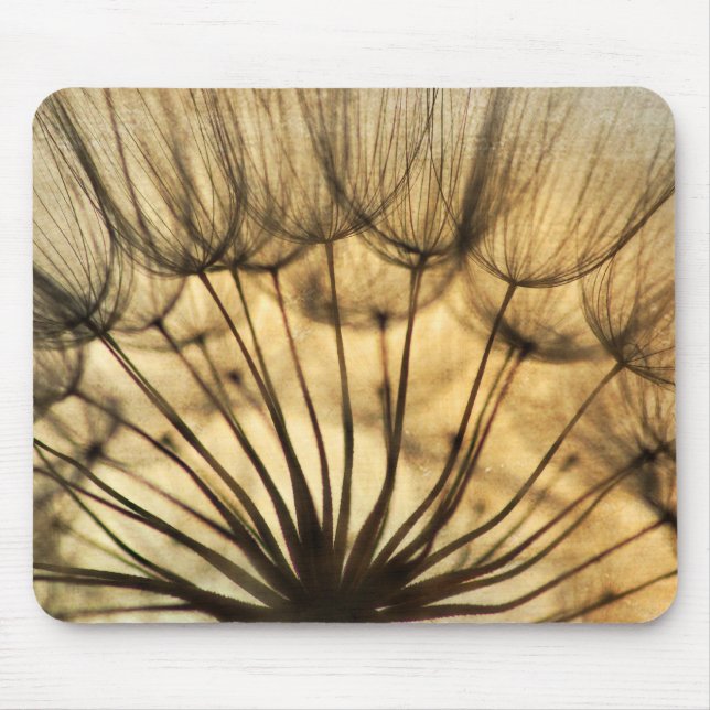 Dandeilons Musmatta (Framsidan)