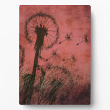 Dandelion
