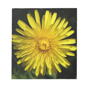 Dandelion Anteckningsblock