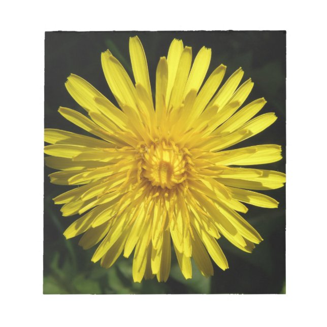 Dandelion Anteckningsblock (Framsida)
