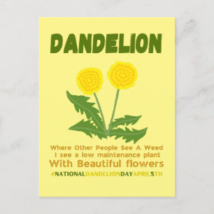 Dandelion är ingen ogräs i min trädgård vykort