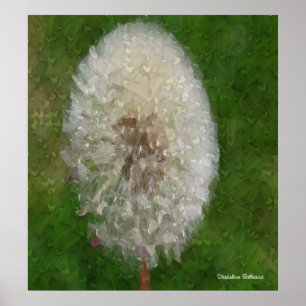 Dandelion Ballerina av Celeste Sheffey Poster