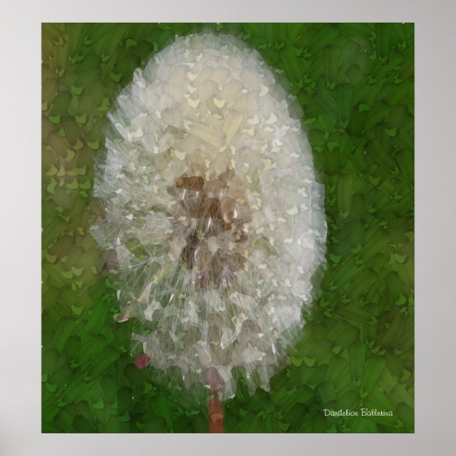 Dandelion Ballerina av Celeste Sheffey Poster (Framsidan)
