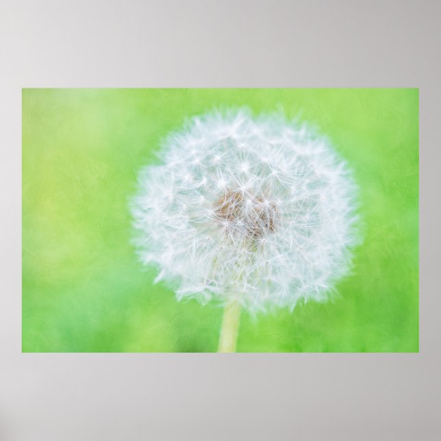 Dandelion - bara vakna upp ur skönheten poster (Framsidan)