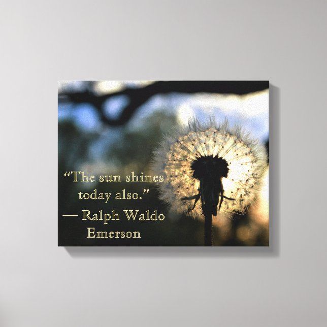 Dandelion Bild (Framsida)