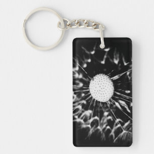dandelion blacq