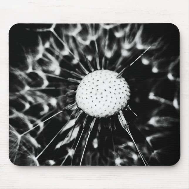 dandelion blacq musmatta (Framsidan)