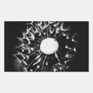 dandelion blacq rektangulärt klistermärke