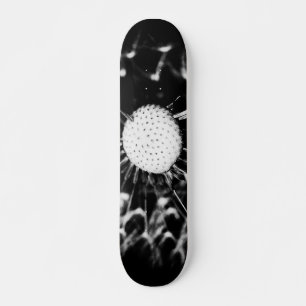 dandelion blacq skateboard bräda 20,5 cm