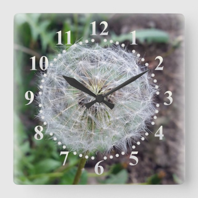 dandelion-blomma fyrkantig klocka (Framsida)