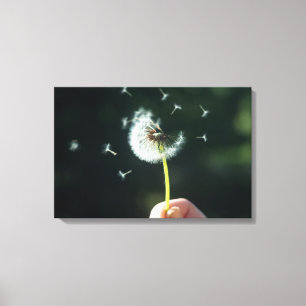 Dandelion-blomman Canvastryck