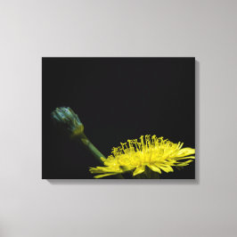 Dandelion-blomman Canvastryck