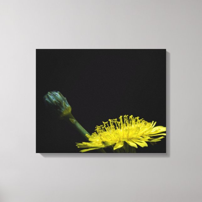 Dandelion-blomman Canvastryck (Framsida)