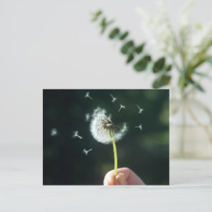 Dandelion-blomman Vykort