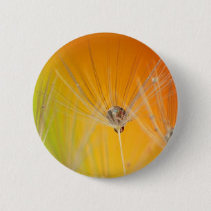 Dandelion Blommar Flowers Destiny Peace Kärlek Art Knapp