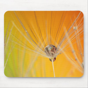 Dandelion Blommar Flowers Destiny Peace Kärlek Art Musmatta
