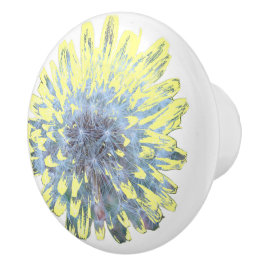 Dandelion Blommar Knopp