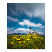 Dandelion-blommor i prästkyrkan Jamnik Sl