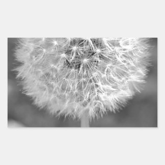 Dandelion Borta till Seed Rektangulärt Klistermärke