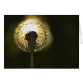 Dandelion Bulb Hälsningskort