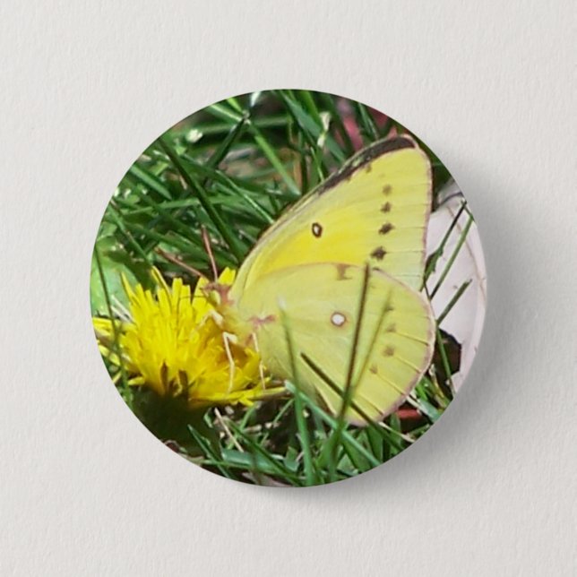 Dandelion Butterfly Knapp (Framsida)