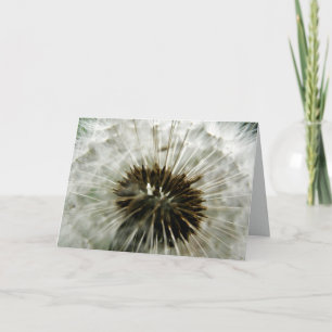 Dandelion Dreams Card Kort