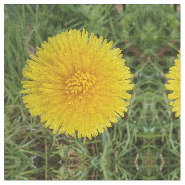 Dandelion Fabric Tyg (Närbild)