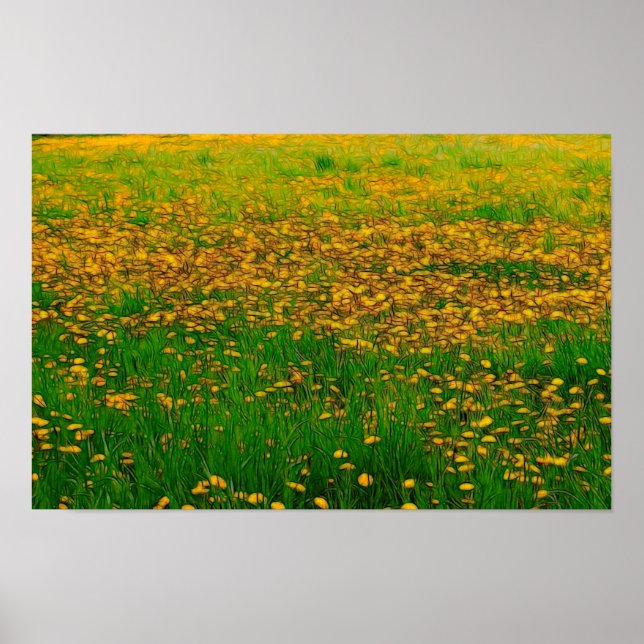 Dandelion Fält Poster (Framsidan)