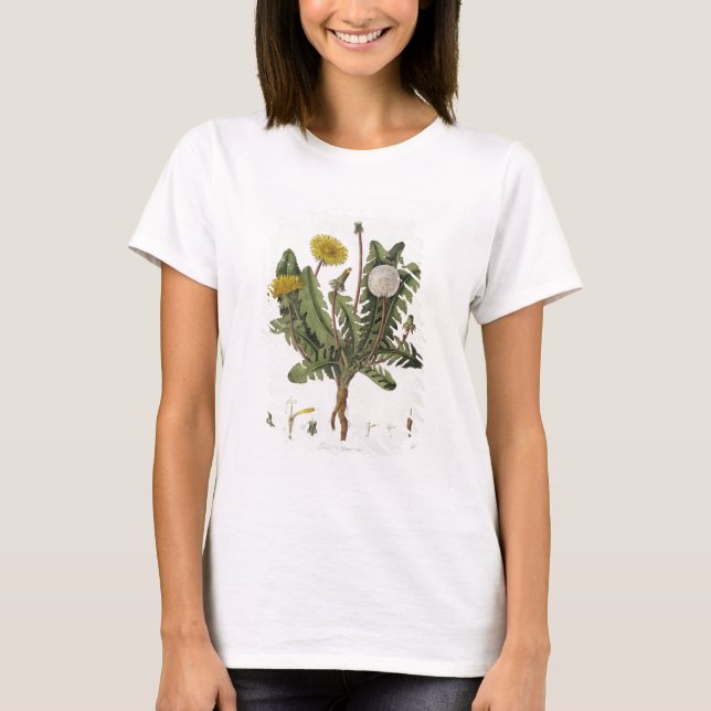Dandelion (färg engrave) tee shirt (Framsida)