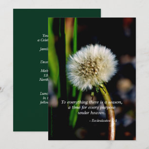 Dandelion Firande i livets inbjudan