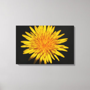 Dandelion Flower 24 x 16 (60 x 40 cm) waccna Canvastryck
