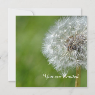 Dandelion Flower Birthday Inbjudningar