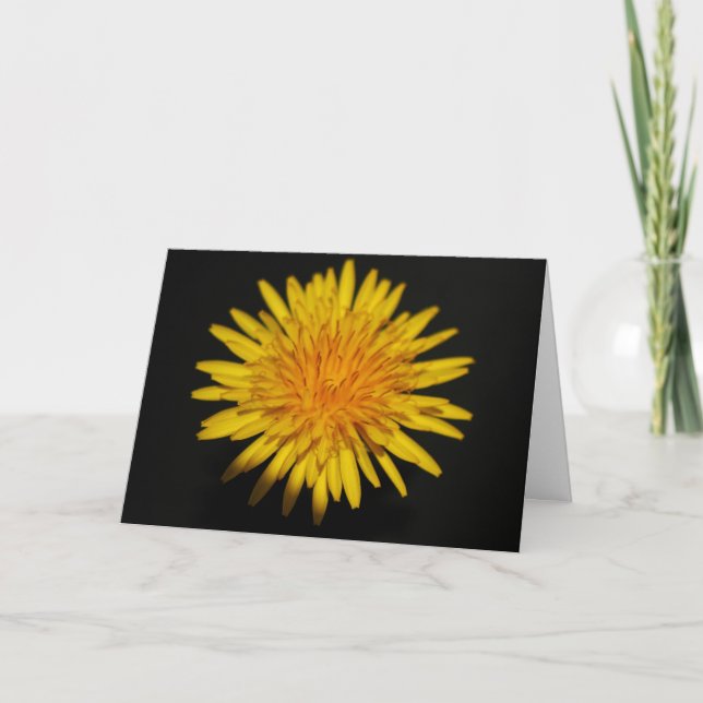 Dandelion Flower gccna Kort (Framsida)