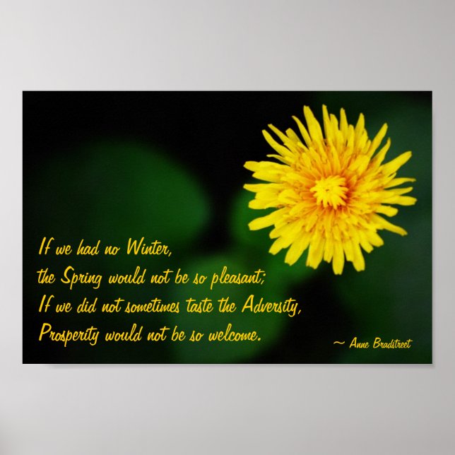 Dandelion Flower med Anne Bradstreet Poster (Framsidan)