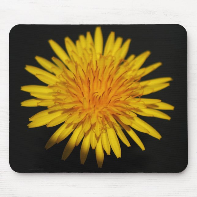 Dandelion Flower mpcna Musmatta (Framsidan)