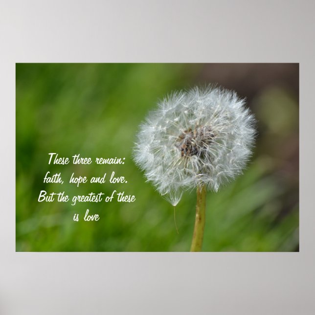 Dandelion Flower Poster (Framsidan)