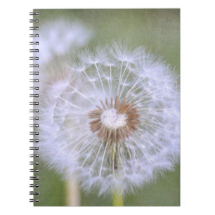 Dandelion Flowers Anteckningsbok