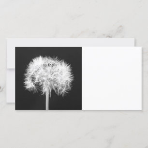 Dandelion-fotokort